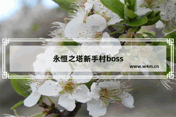 永恒之塔新手村boss