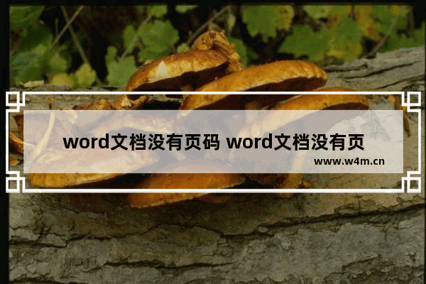 word文档没有页码 word文档没有页码打印出来有页码