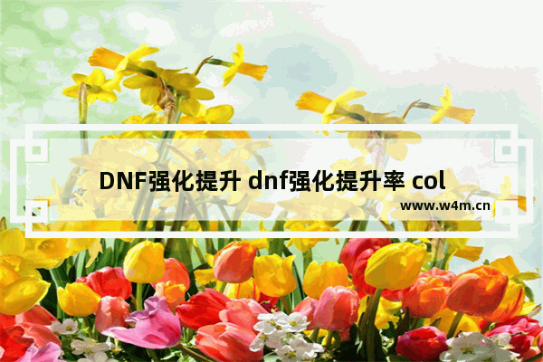 DNF强化提升 dnf强化提升率 colg