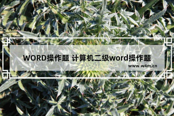 WORD操作题 计算机二级word操作题题库