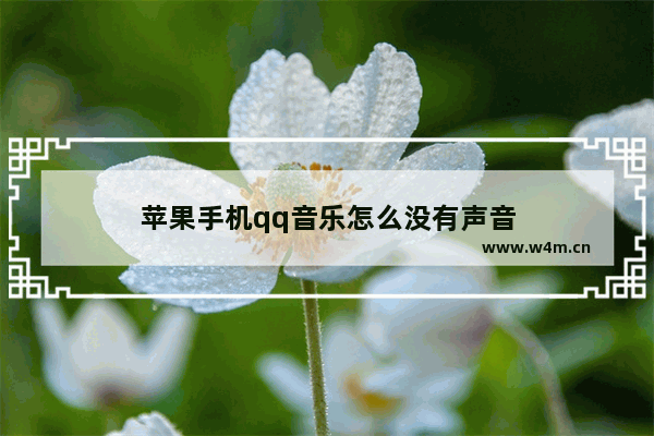 苹果手机qq音乐怎么没有声音