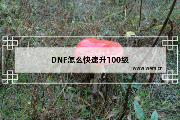 DNF怎么快速升100级