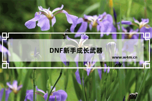 DNF新手成长武器