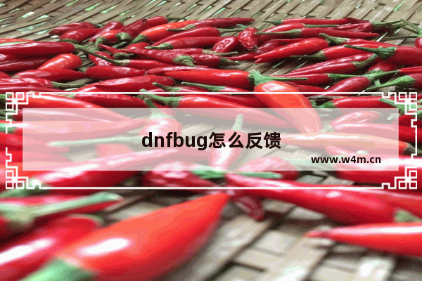 dnfbug怎么反馈