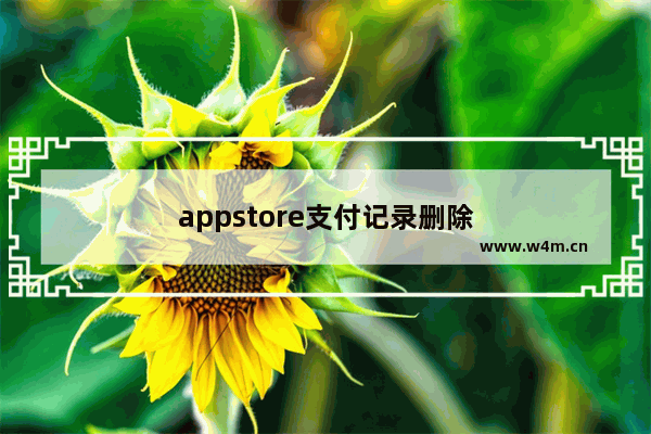 appstore支付记录删除