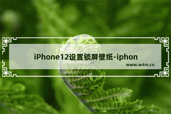 iPhone12设置锁屏壁纸-iphone12设置锁屏壁纸步数