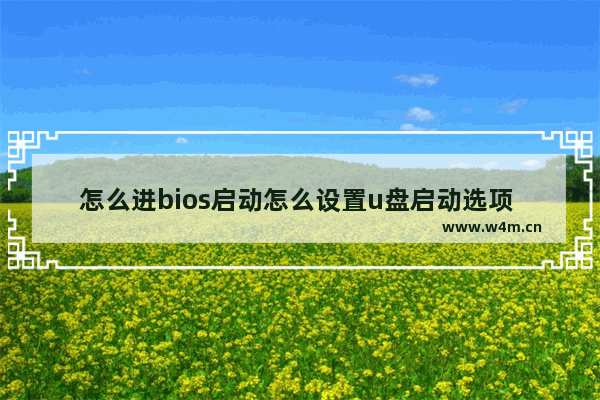 怎么进bios启动怎么设置u盘启动选项 BIOS怎样设置U盘启动？