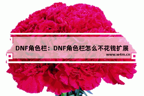 DNF角色栏：DNF角色栏怎么不花钱扩展