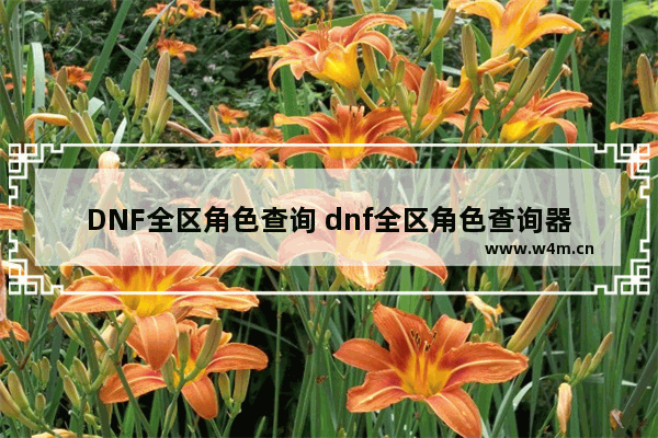 DNF全区角色查询 dnf全区角色查询器