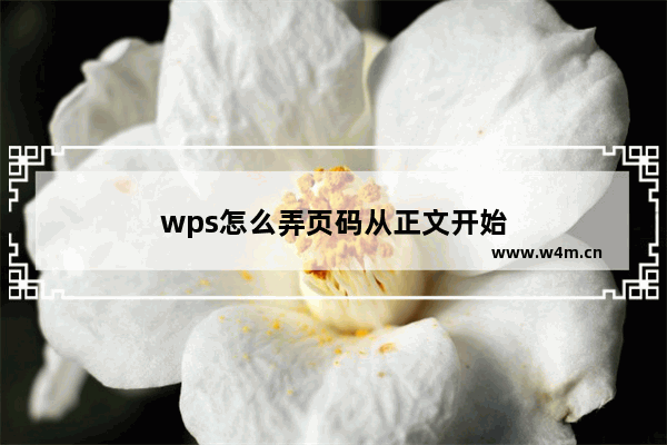 wps怎么弄页码从正文开始