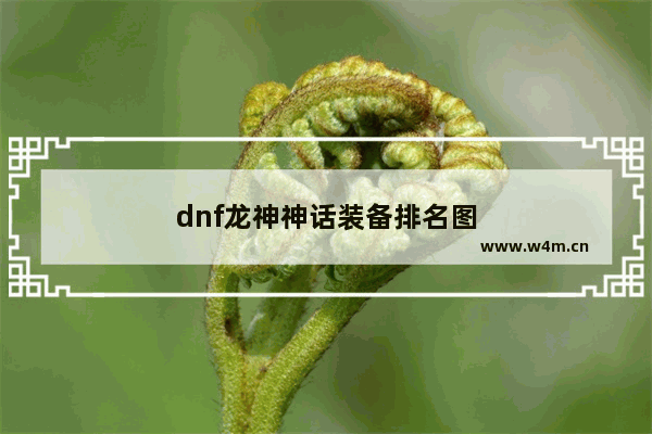 dnf龙神神话装备排名图