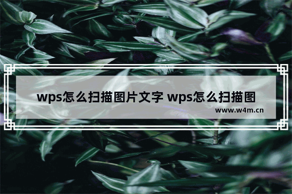 wps怎么扫描图片文字 wps怎么扫描图片文字编辑