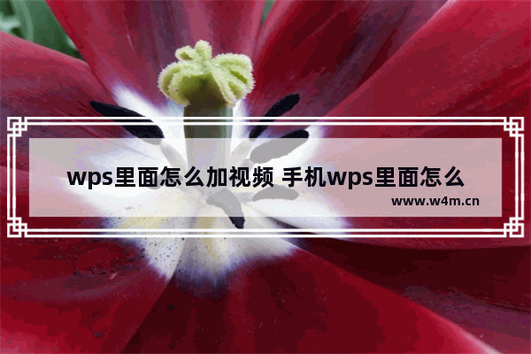 wps里面怎么加视频 手机wps里面怎么加视频