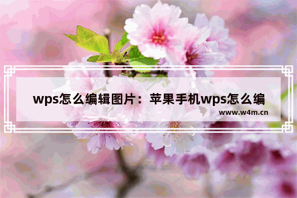 wps怎么编辑图片：苹果手机wps怎么编辑图片文字