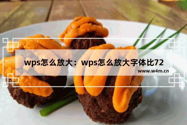 wps怎么放大：wps怎么放大字体比72