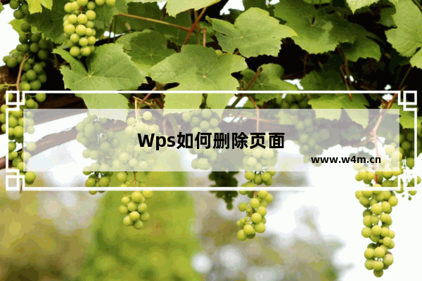 Wps如何删除页面