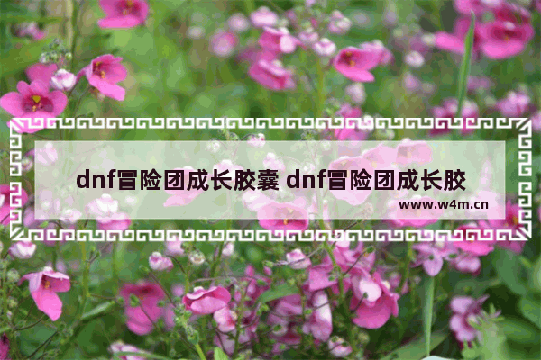 dnf冒险团成长胶囊 dnf冒险团成长胶囊会过期吗