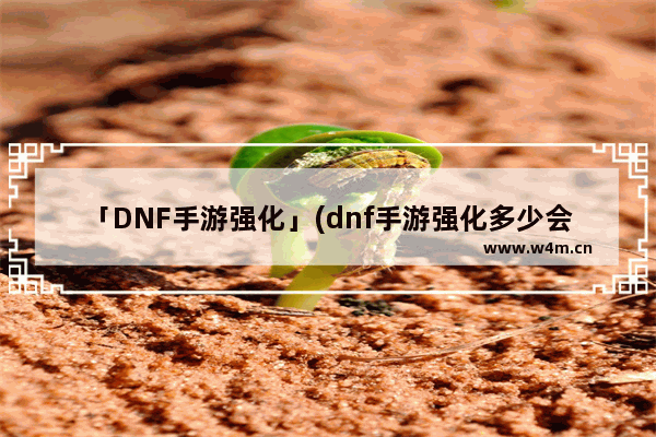 「DNF手游强化」(dnf手游强化多少会碎)