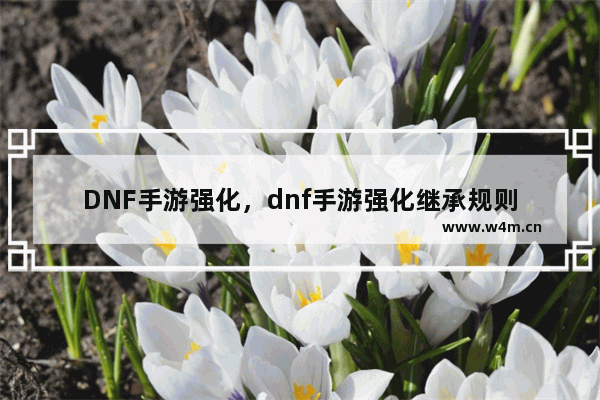 DNF手游强化，dnf手游强化继承规则