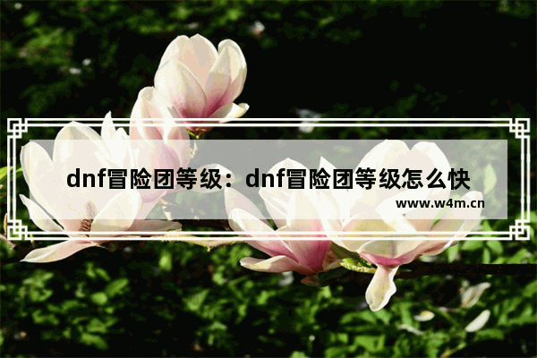 dnf冒险团等级：dnf冒险团等级怎么快速提升贴吧