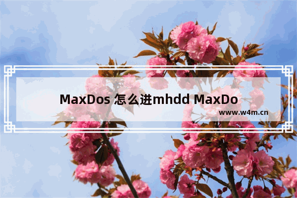 MaxDos 怎么进mhdd MaxDos进入MHDD的方法