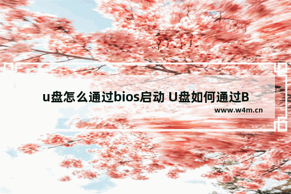 u盘怎么通过bios启动 U盘如何通过BIOS进行启动