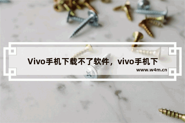 Vivo手机下载不了软件，vivo手机下载不了软件怎么办云端监测风险卡住