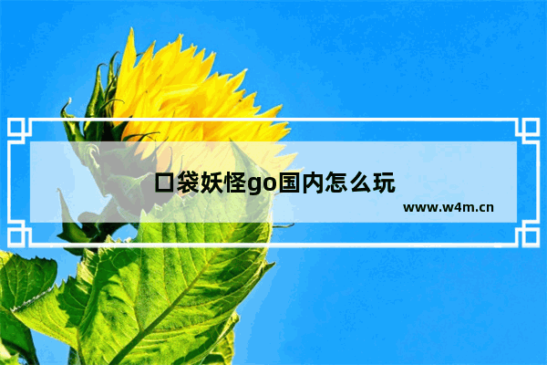 口袋妖怪go国内怎么玩