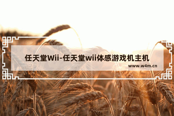 任天堂Wii-任天堂wii体感游戏机主机电源线