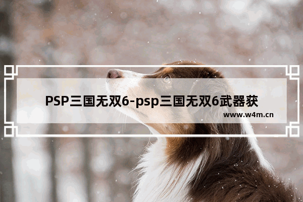 PSP三国无双6-psp三国无双6武器获得