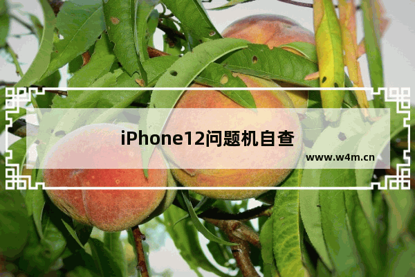 iPhone12问题机自查