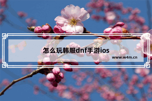 怎么玩韩服dnf手游ios