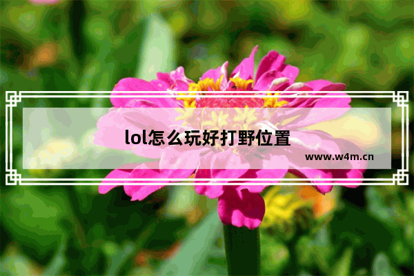 lol怎么玩好打野位置