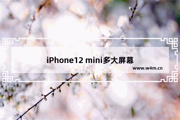 iPhone12 mini多大屏幕