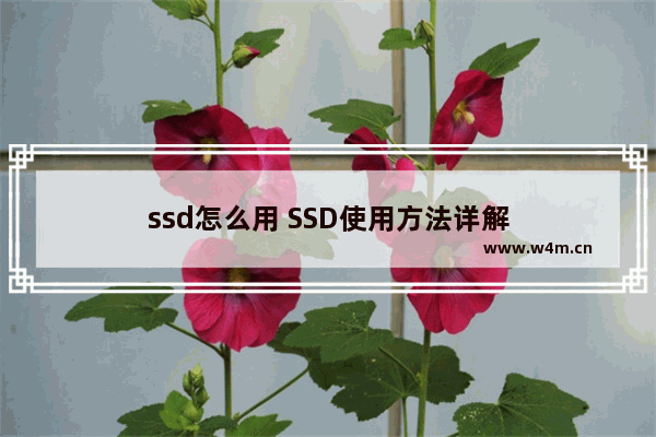 ssd怎么用 SSD使用方法详解