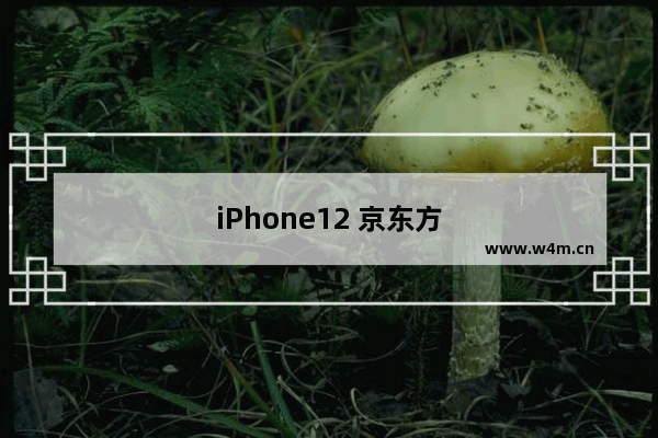 iPhone12 京东方