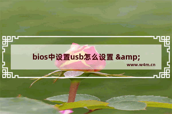 bios中设置usb怎么设置 "电脑BIOS USB设置详解"