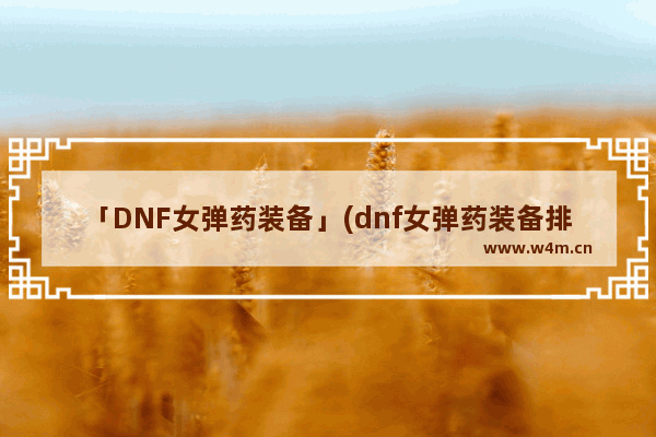 「DNF女弹药装备」(dnf女弹药装备排名)