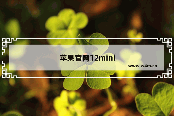 苹果官网12mini