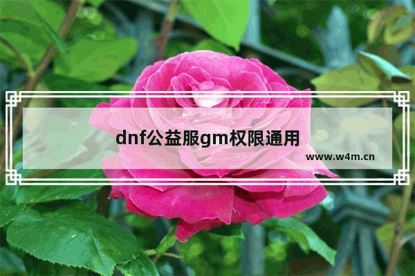 dnf公益服gm权限通用