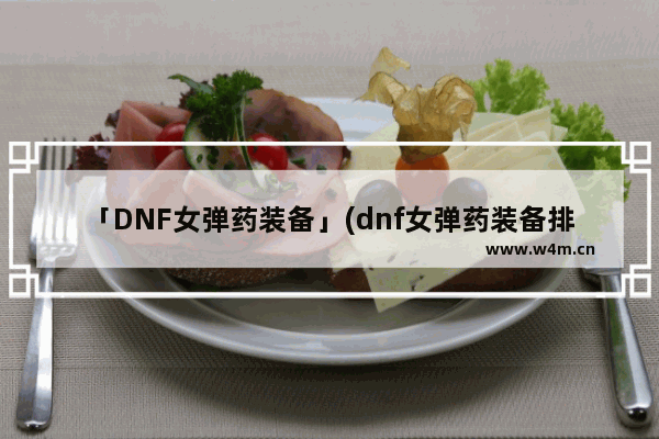 「DNF女弹药装备」(dnf女弹药装备排名)