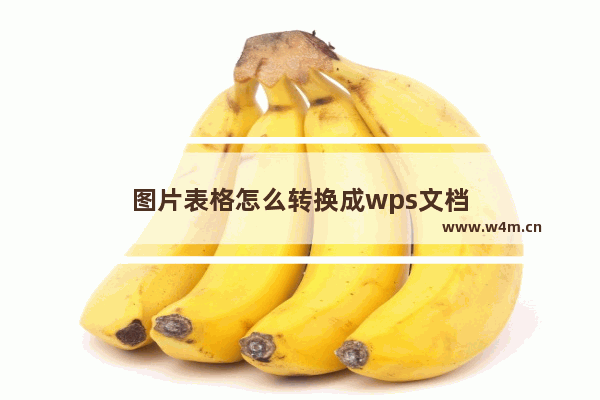 图片表格怎么转换成wps文档