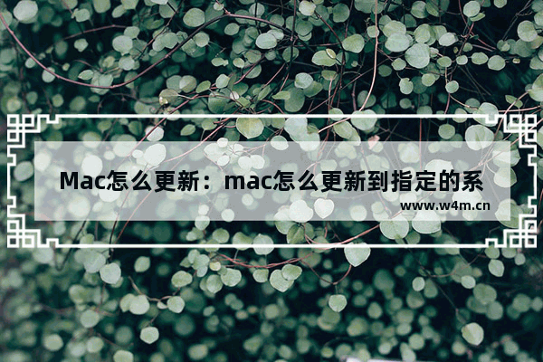 Mac怎么更新：mac怎么更新到指定的系统