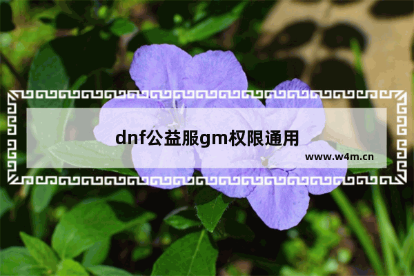 dnf公益服gm权限通用