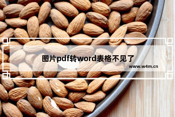 图片pdf转word表格不见了