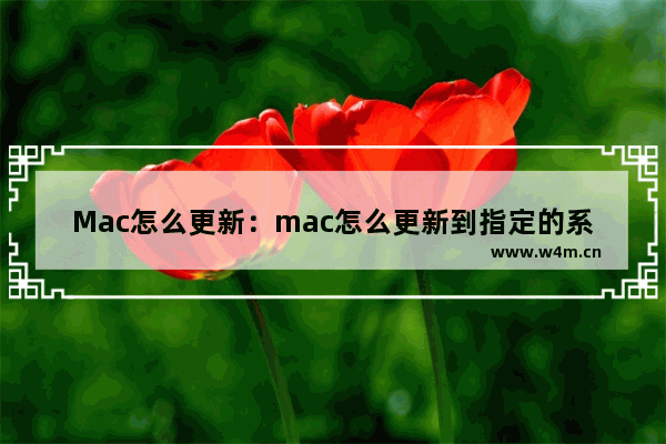 Mac怎么更新：mac怎么更新到指定的系统