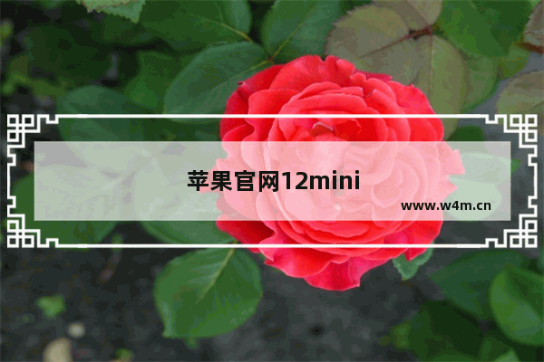 苹果官网12mini