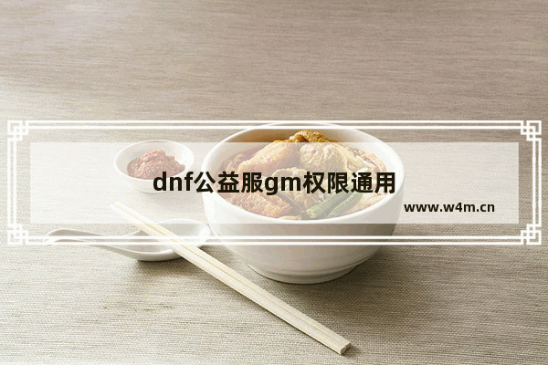 dnf公益服gm权限通用