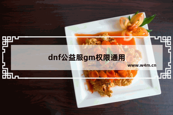 dnf公益服gm权限通用