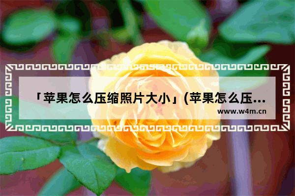 「苹果怎么压缩照片大小」(苹果怎么压缩照片大小kb)